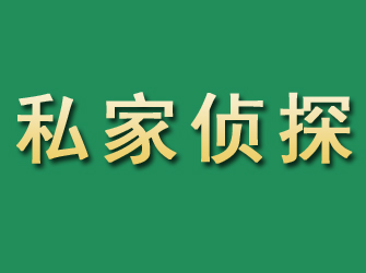 南岸市私家正规侦探